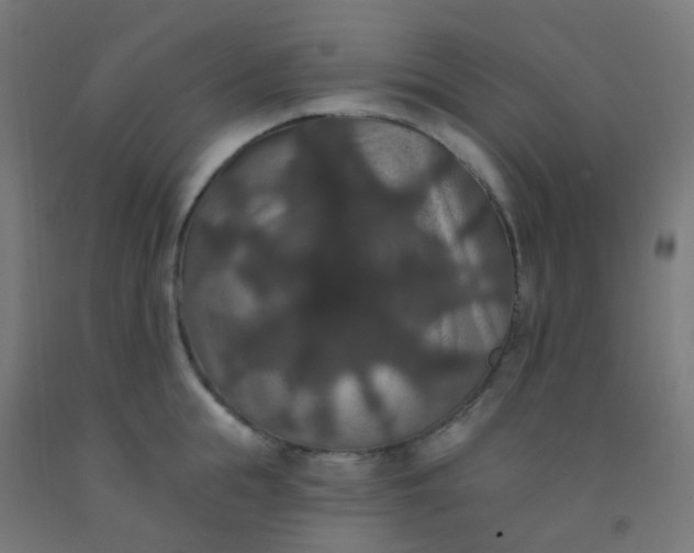 X0000092320855200709281405