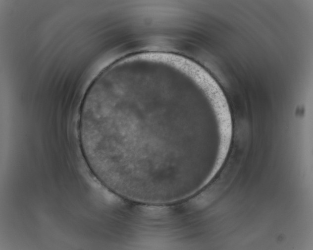 X0000092320856200709281405