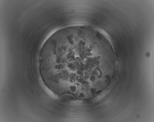 X0000092320859200709281405