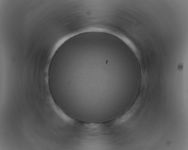 X0000092320862200709281405