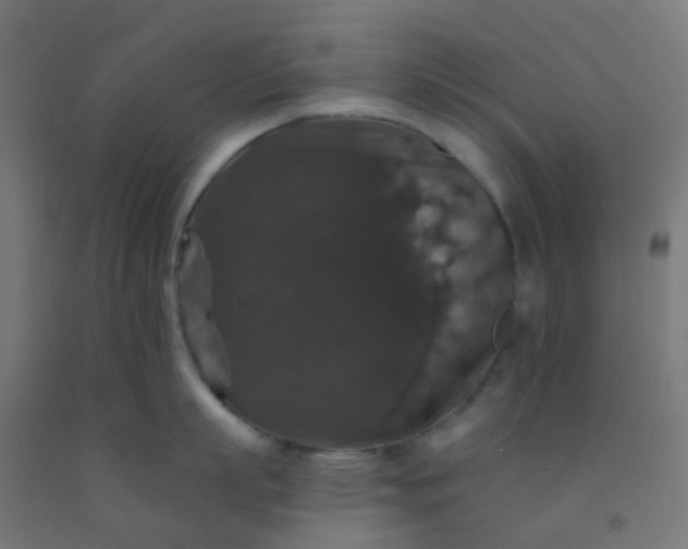 X0000092320863200709281405