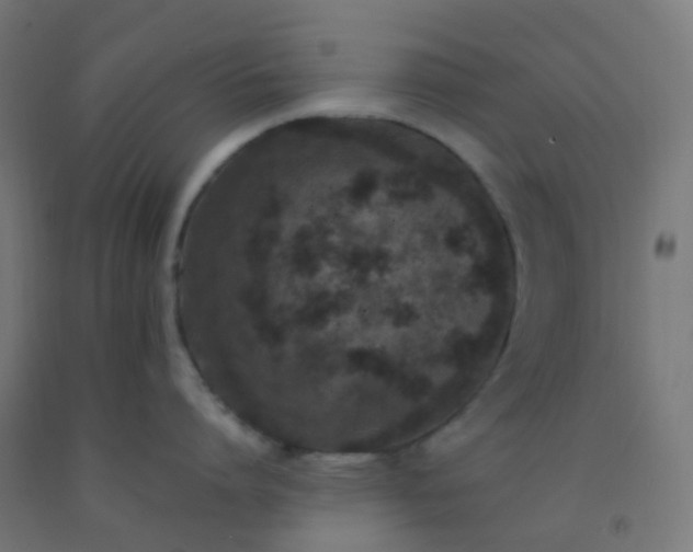 X0000092320864200709281405