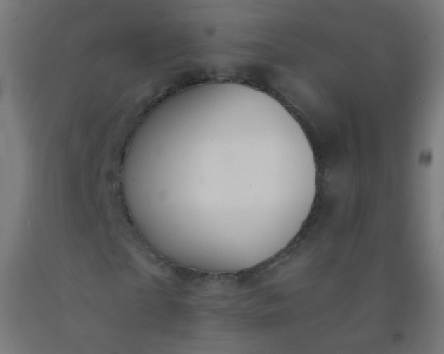 X0000092320865200709281404