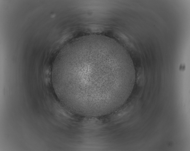 X0000092320866200709281404
