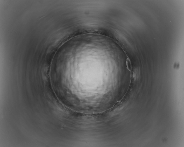 X0000092320867200709281404