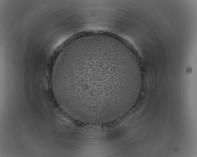 X0000092320871200709281404
