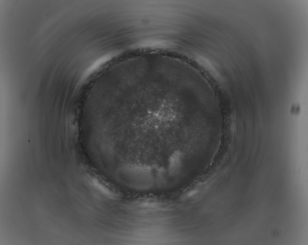X0000092320872200709281404