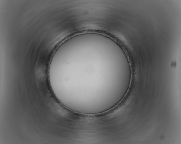 X0000092320873200709281404