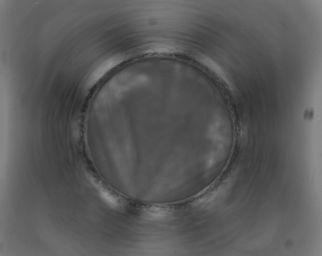 X0000092320874200709281404