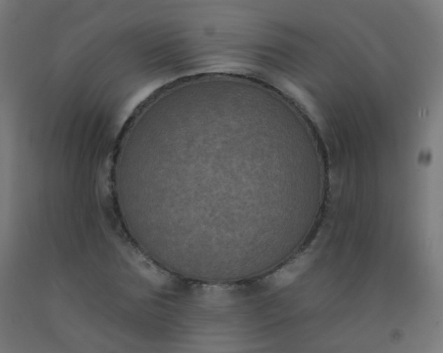 X0000092320875200709281404