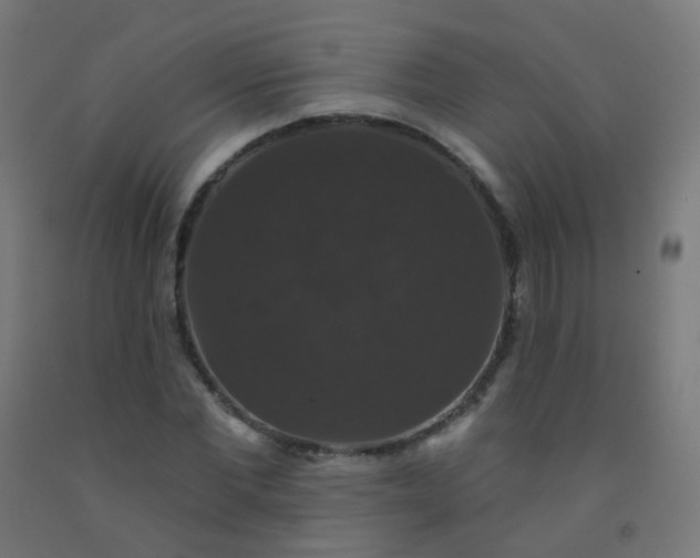 X0000092320877200709281404