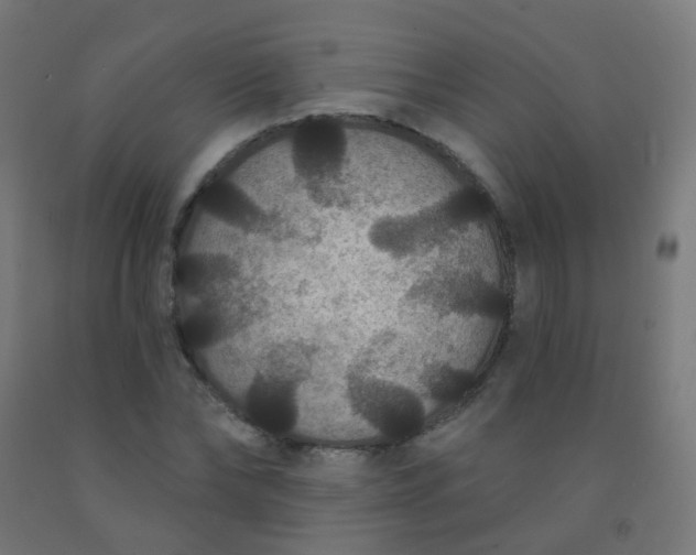 X0000092320878200709281404