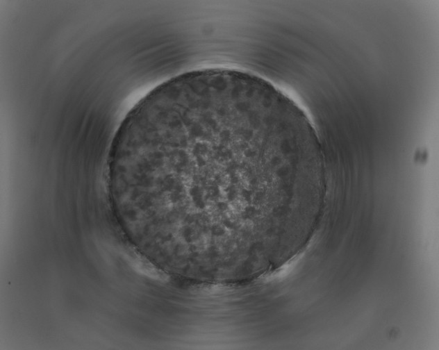 X0000092320879200709281404