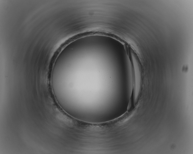 X0000092320880200709281404