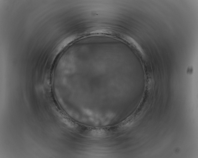 X0000092320882200709281404