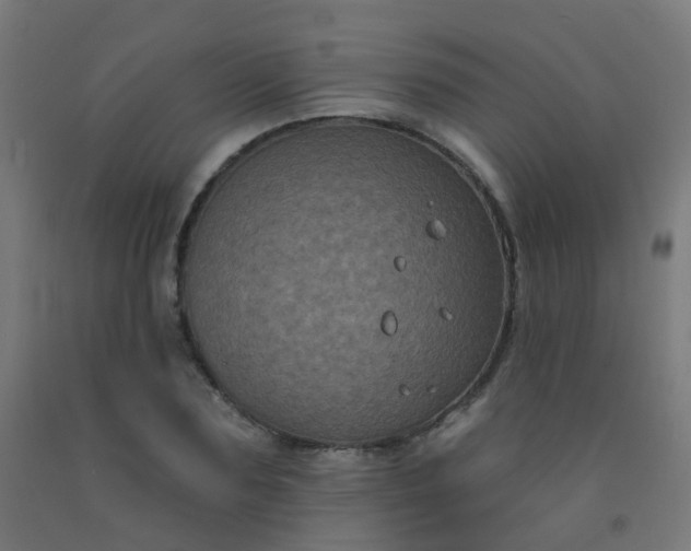 X0000092320883200709281404