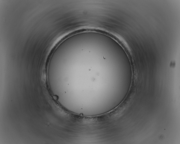 X0000092320887200709281404