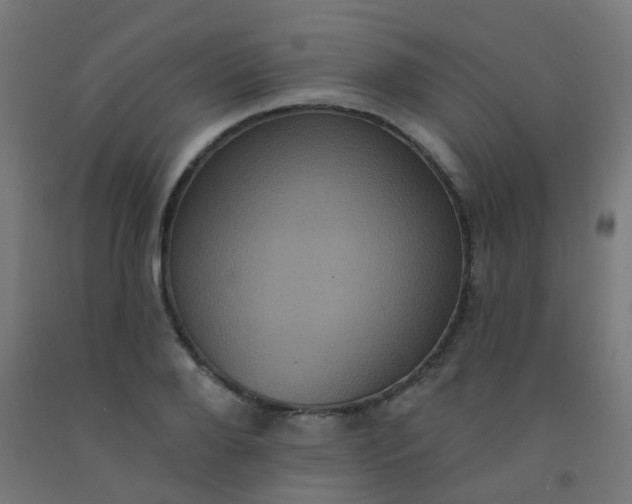 X0000092320888200709281404