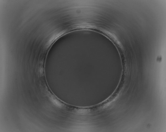 X0000092320889200709281404
