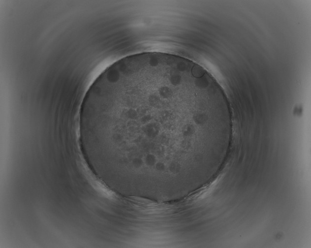 X0000092320891200709281404