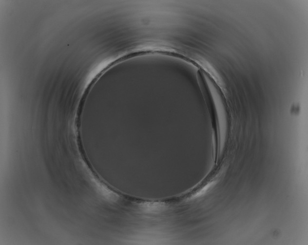 X0000092320893200709281404