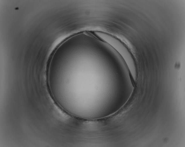 X0000092320894200709281404