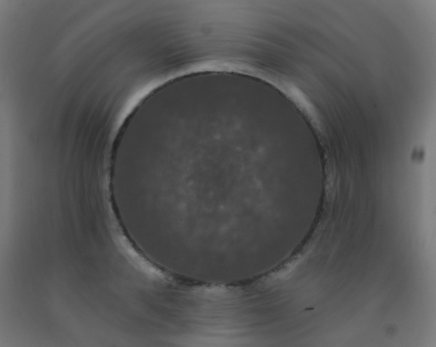 X0000092320896200709281404