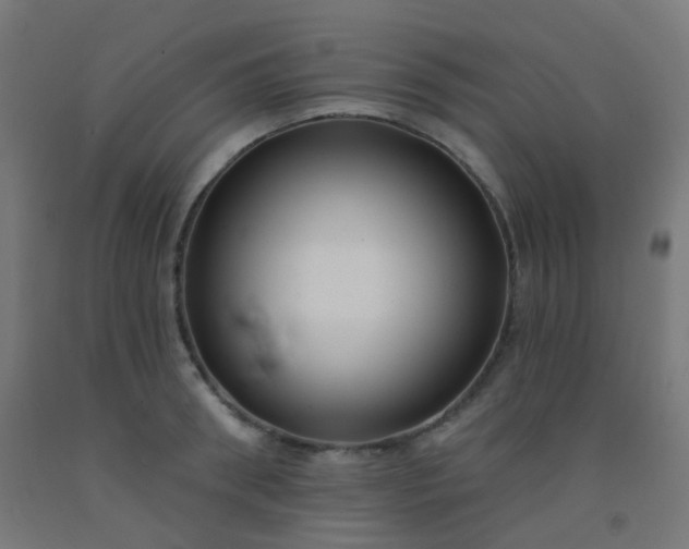 X0000092320898200709281404