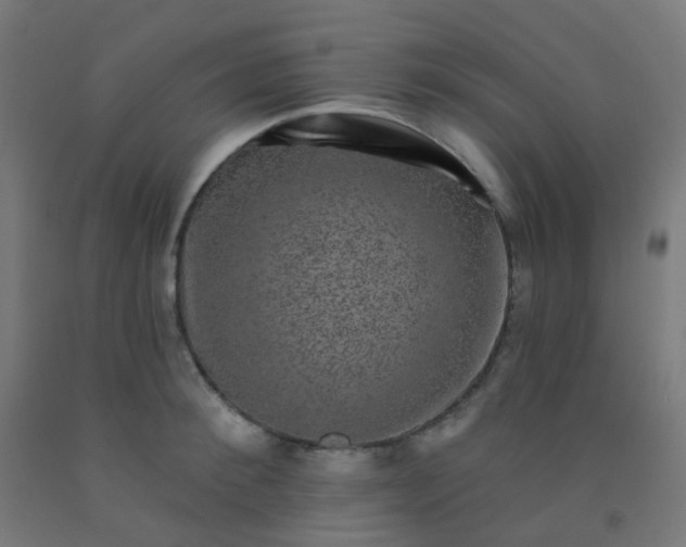 X0000092320900200709281404