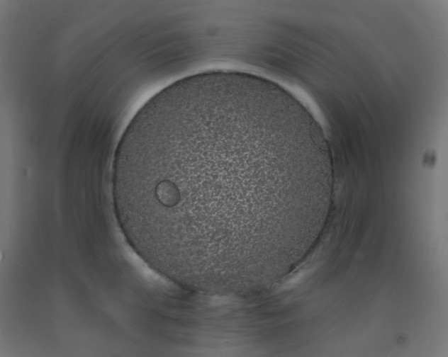 X0000092320903200709281404
