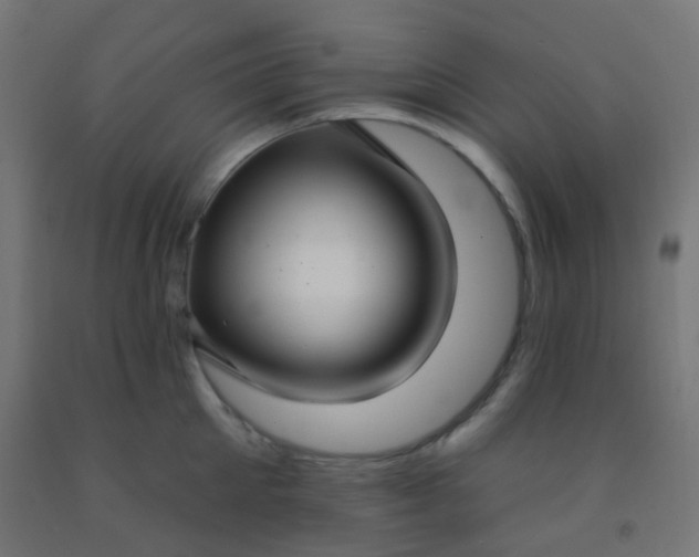 X0000092320905200709281404