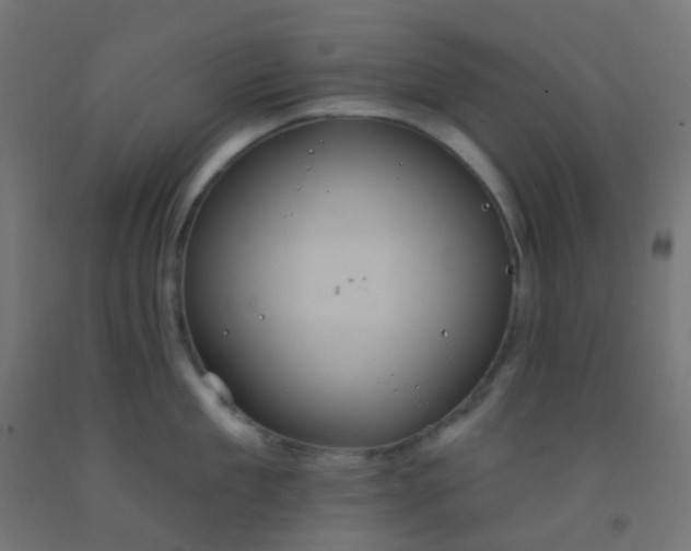 X0000092320909200709281404