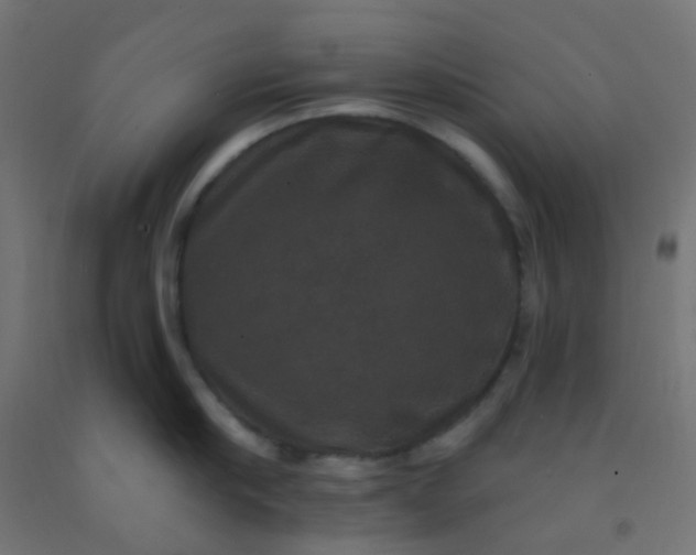 X0000092320910200709281404