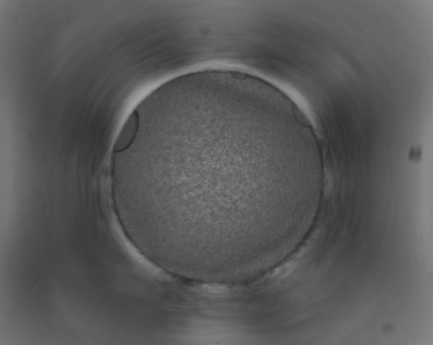 X0000092320911200709281403