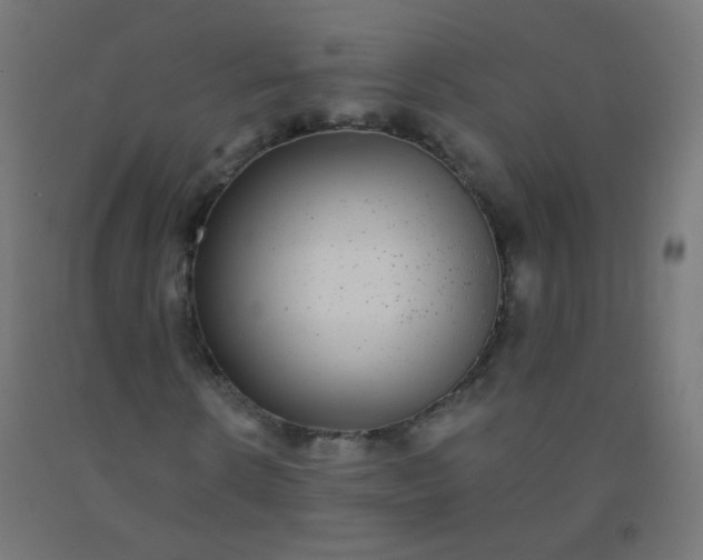 X0000092320914200709281403