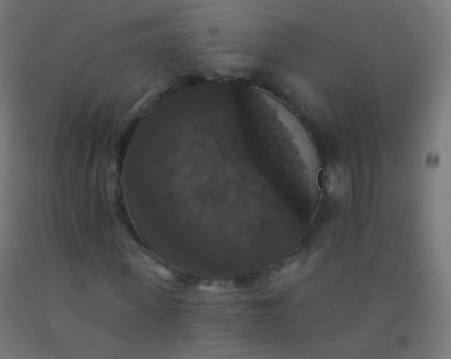 X0000092320915200709281403