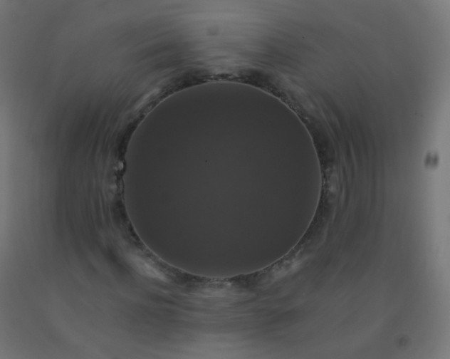 X0000092320916200709281403