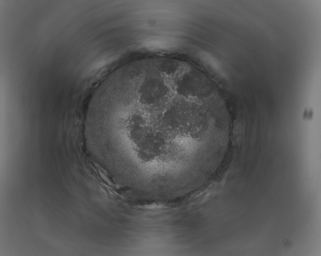 X0000092320917200709281403