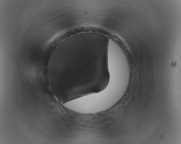 X0000092320919200709281403