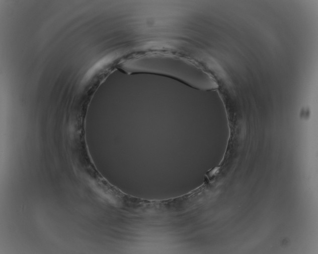 X0000092320920200709281403