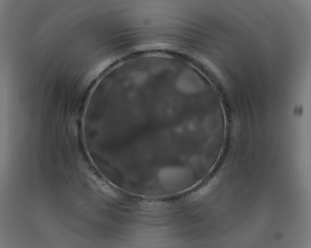 X0000092320921200709281403