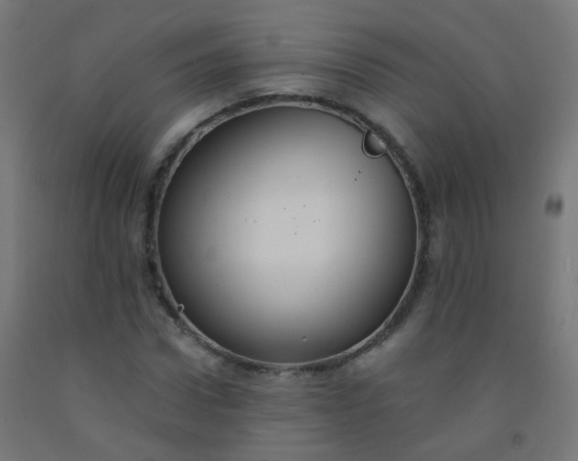 X0000092320922200709281403