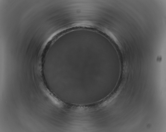 X0000092320923200709281403