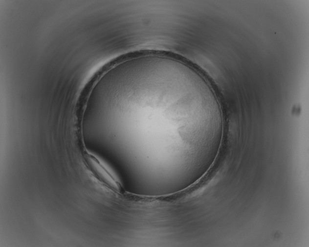 X0000092320926200709281403