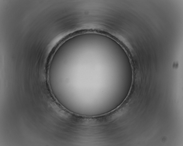X0000092320927200709281403