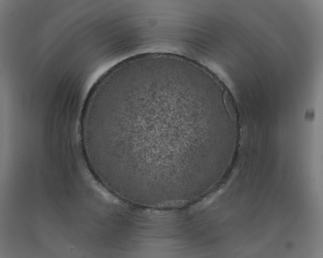 X0000092320928200709281403