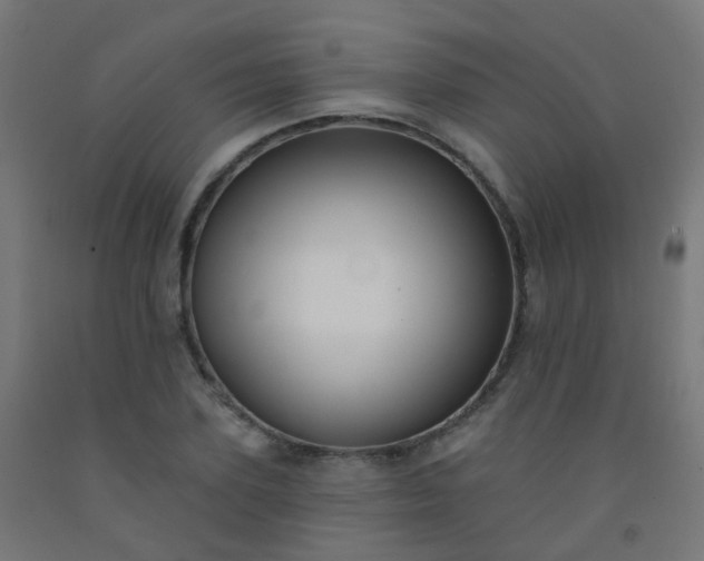X0000092320931200709281403