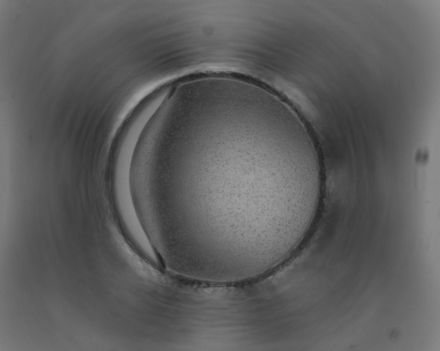 X0000092320934200709281403