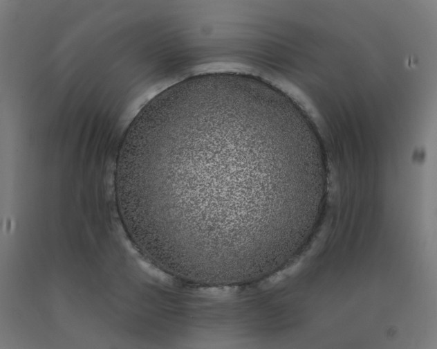 X0000092320937200709281403
