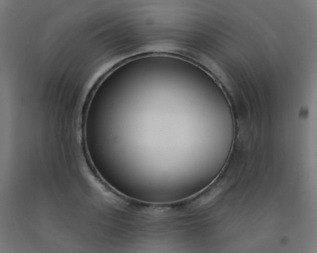 X0000092320939200709281403
